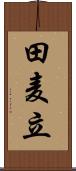 田麦立 Scroll