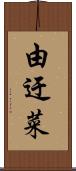 由迂菜 Scroll