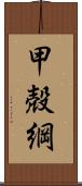 甲殻綱 Scroll