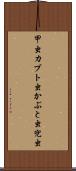 甲虫 Scroll
