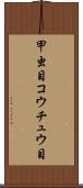 甲虫目 Scroll