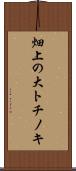 畑上の大トチノキ Scroll