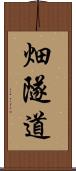 畑隧道 Scroll