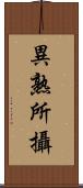 異熟所攝 Scroll