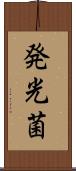 発光菌 Scroll