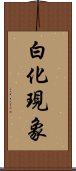 白化現象 Scroll