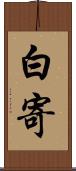 白寄 Scroll