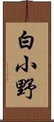 白小野 Scroll