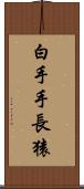 白手手長猿 Scroll