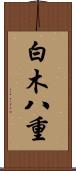 白木八重 Scroll