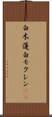 白木蓮 Scroll