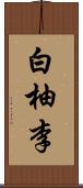 白柚李 Scroll