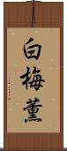 白梅薫 Scroll