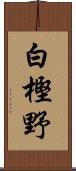 白樫野 Scroll