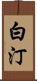白汀 Scroll