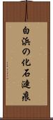 白浜の化石漣痕 Scroll