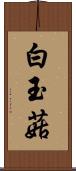 白玉菇 Scroll