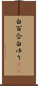 白百合 Scroll