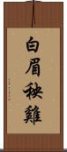 白眉秧雞 Scroll