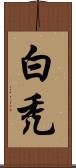 白禿 Scroll