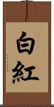 白紅 Scroll