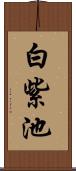 白紫池 Scroll