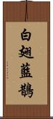 白翅藍鵲 Scroll