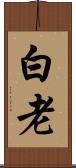 白老 Scroll