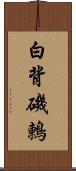 白背磯鶇 Scroll