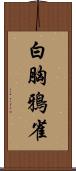 白胸鴉雀 Scroll