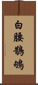 白腰鵲鴝 Scroll