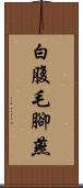 白腹毛腳燕 Scroll
