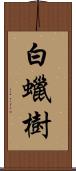 白蠟樹 Scroll