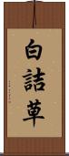 白詰草 Scroll