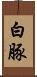 白豚 Scroll