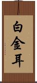 白金耳 Scroll
