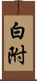 白附 Scroll