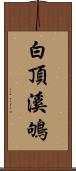 白頂溪鴝 Scroll