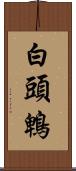 白頭鵯 Scroll