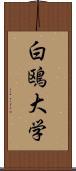 白鴎大学 Scroll