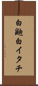 白鼬 Scroll