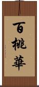 百桃華 Scroll