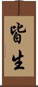 皆生 Scroll