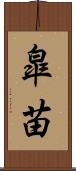 皐苗 Scroll