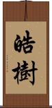 皓樹 Scroll