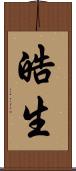 皓生 Scroll
