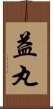 益丸 Scroll