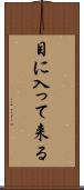 目に入って来る Scroll