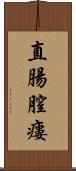 直腸膣瘻 Scroll