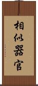 相似器官 Scroll